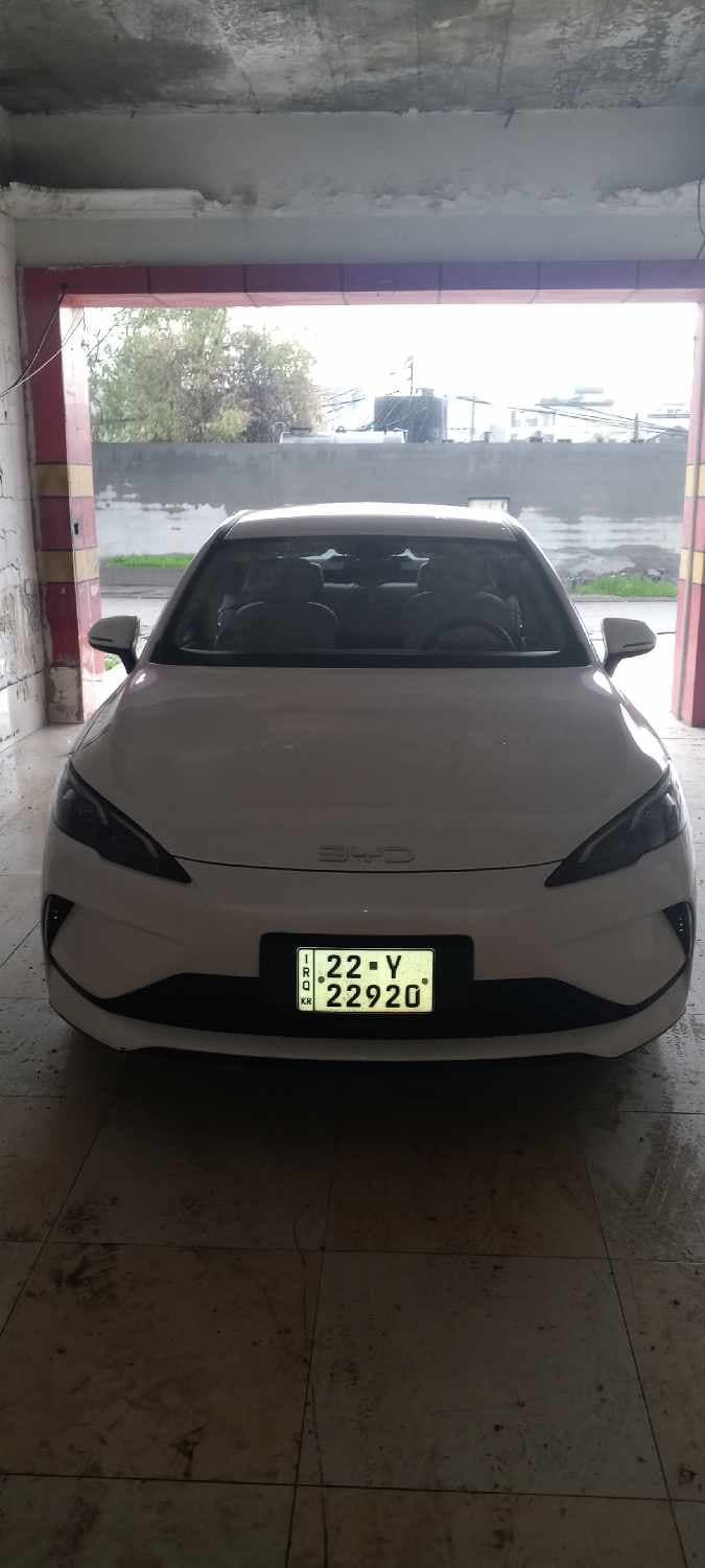 بي واي دي سيل 05 2025 - أربيل أبيض