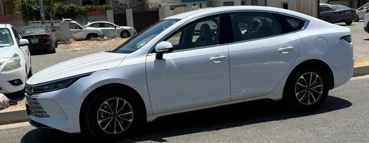 2025 بي واي دي ديستروير